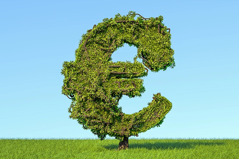 Finansowanie inwestycji z zakresu zielonej transformacji