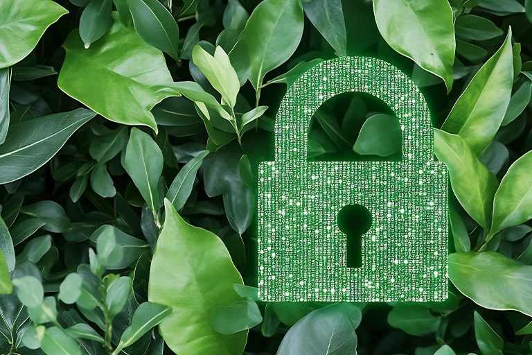 Greenwashing w praktyce: legalna i odpowiedzialna komunikacja środowiskowa